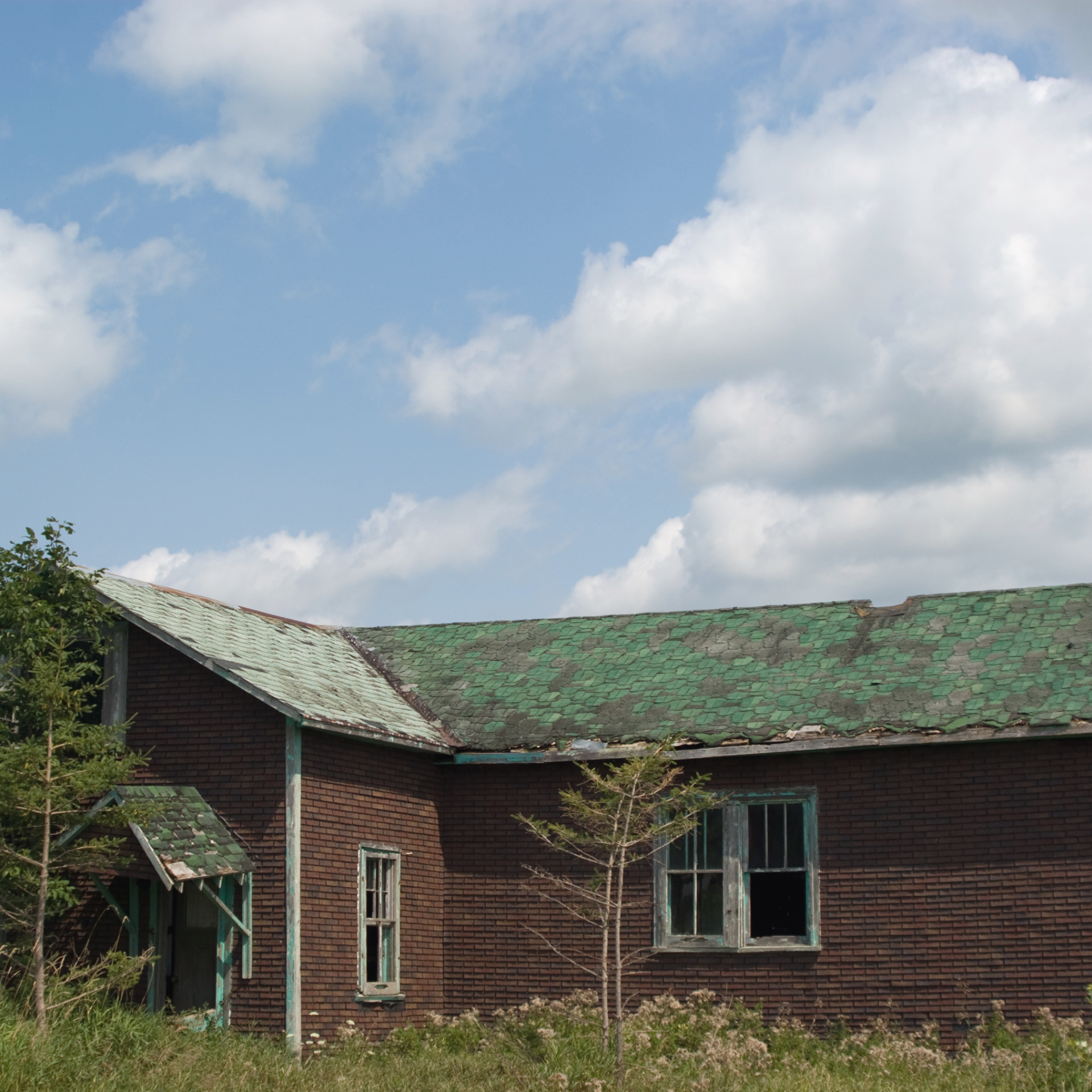Dilapidated House (1920 x 1920 px) Summers in Illinois