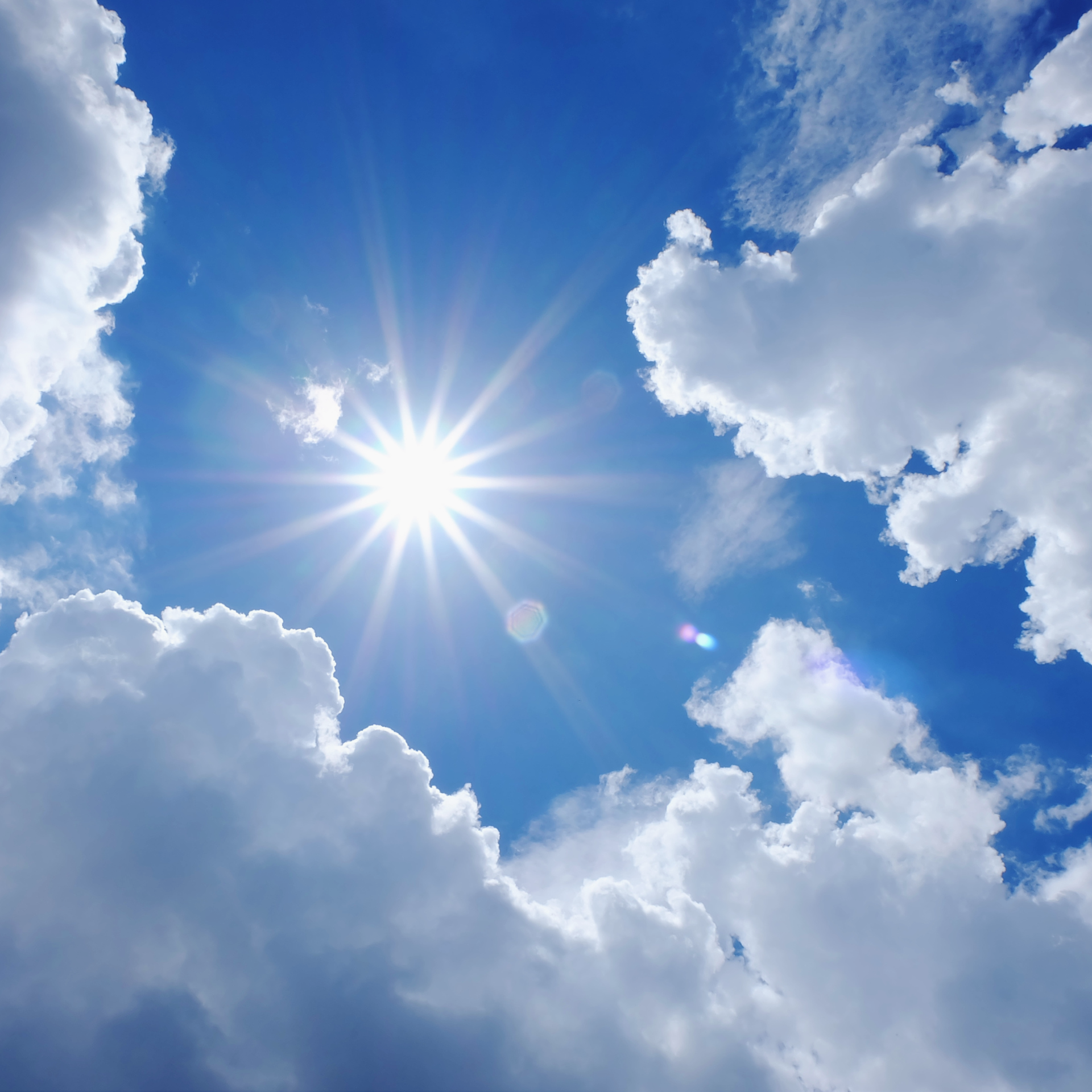 Sunshine(1920 x 1920 px) Summers in Illinois